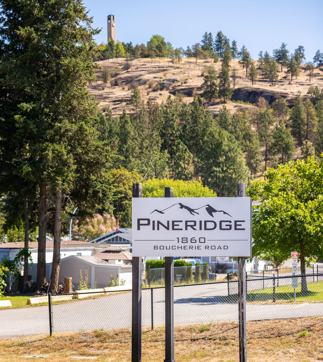 Pine_Ridge